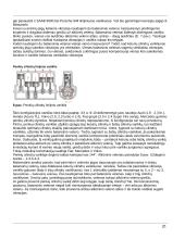 Automobilių variklių tipai 6 puslapis