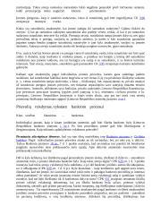 Bankrotas - nemokios įmonės būsena 5 puslapis