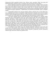 Bankrotas - nemokios įmonės būsena 9 puslapis