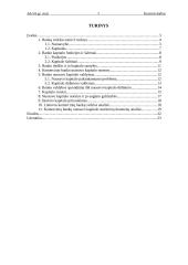 Bankų nuosavo kapitalo valdymas 2 puslapis