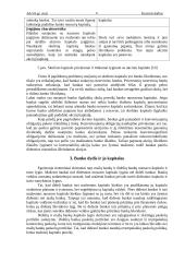 Bankų nuosavo kapitalo valdymas 11 puslapis