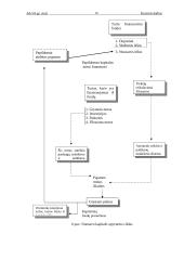 Bankų nuosavo kapitalo valdymas 16 puslapis