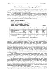 Bankų nuosavo kapitalo valdymas 17 puslapis