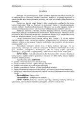 Bankų nuosavo kapitalo valdymas 3 puslapis