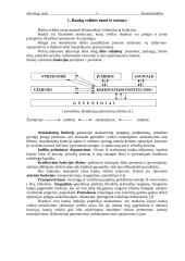 Bankų nuosavo kapitalo valdymas 4 puslapis