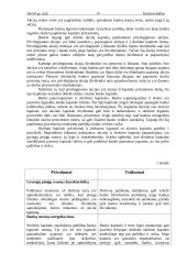 Bankų nuosavo kapitalo valdymas 10 puslapis