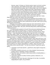 Bausmės šeimoje ir jų poveikis vaiko asmenybei 4 puslapis