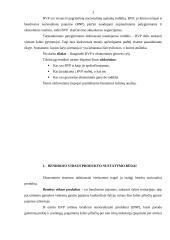 Bendras vidaus produktas (BVP) ir ekonominė gerovė 3 puslapis