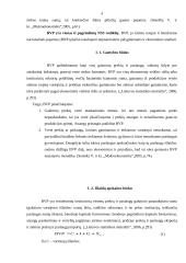 Bendras vidaus produktas (BVP) ir ekonominė gerovė 4 puslapis