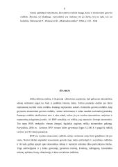 Bendras vidaus produktas (BVP) ir ekonominė gerovė 8 puslapis