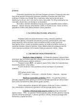 Bendrasis vidaus produktas ir jo nustatymo būdai 2 puslapis