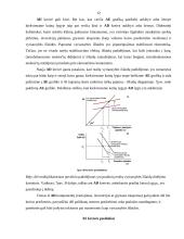Bendroji paklausa ir bendroji pasiūla. AD ir AS kreivės, jų poslinkiai. Trumpojo ir ilgojo laikotarpio AS kreivės. Pusiausvyros  12 puslapis