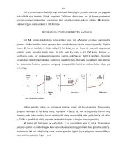 Bendroji paklausa ir bendroji pasiūla. AD ir AS kreivės, jų poslinkiai. Trumpojo ir ilgojo laikotarpio AS kreivės. Pusiausvyros  10 puslapis