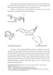 Bendrojo geografinio žemėlapio kartografinio vaizdo generalizavimo dėsningumai 6 puslapis
