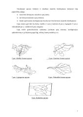 Bendrojo geografinio žemėlapio kartografinio vaizdo generalizavimo dėsningumai 7 puslapis