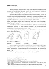 Bendrojo geografinio žemėlapio kartografinio vaizdo generalizavimo dėsningumai 8 puslapis