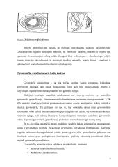 Bendrojo geografinio žemėlapio kartografinio vaizdo generalizavimo dėsningumai 9 puslapis