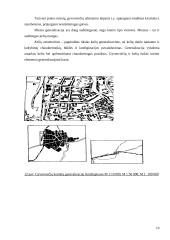 Bendrojo geografinio žemėlapio kartografinio vaizdo generalizavimo dėsningumai 10 puslapis