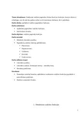 Bendrosios vadybos funkcijos 2 puslapis