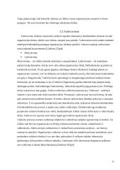 Bendrosios vadybos funkcijos 11 puslapis