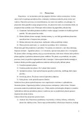 Bendrosios vadybos funkcijos 3 puslapis