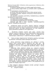 Bendrovės įstatinio kapitalo formavimas 4 puslapis