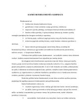 Bendruomenės socialinė veikla, sociokultūrinė veikla bendruomenėje 4 puslapis