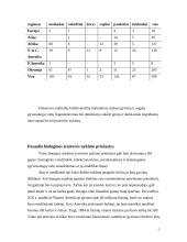 Biologinės įvairovės nykimo priežastys 5 puslapis