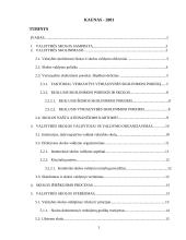 Valstybės skola, skolinimasis bei skolos išieškojimas 2 puslapis