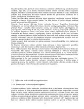 Valstybės skola, skolinimasis bei skolos išieškojimas 12 puslapis