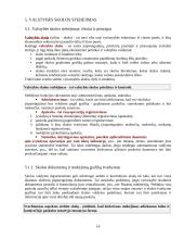 Valstybės skola, skolinimasis bei skolos išieškojimas 15 puslapis