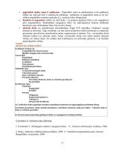 Valstybės skola, skolinimasis bei skolos išieškojimas 18 puslapis