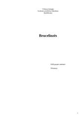 Bruceliozės
