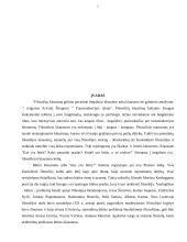 Būties problema 2 puslapis