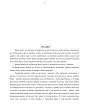 Būties problema 12 puslapis