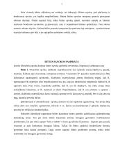 Būties problema 3 puslapis