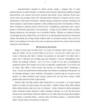 Būties problema 5 puslapis