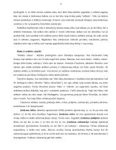 Būties problema 10 puslapis