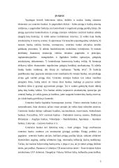 Centrinių ir komercinių bankų funkcionavimo sistemos ir monetarinė politika  užsienio šalyse 2 puslapis