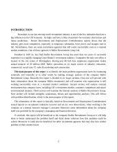 Company analysis: Balfor Recruitment Group 2 puslapis
