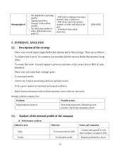 Company analysis: Balfor Recruitment Group 13 puslapis