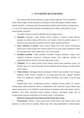 Darbas komandoje ir rangų sistema 3 puslapis