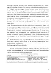 Darbas komandoje ir rangų sistema 4 puslapis