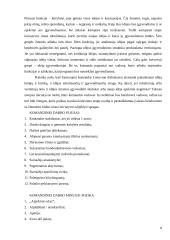 Darbas komandoje ir rangų sistema 7 puslapis