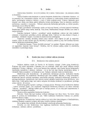 Darbdavio ir pavaldinio bendravimas 2 puslapis
