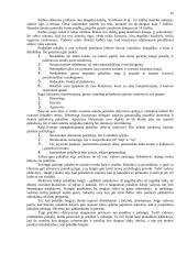 Darbdavio ir pavaldinio bendravimas 11 puslapis