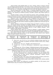 Darbdavio ir pavaldinio bendravimas 13 puslapis