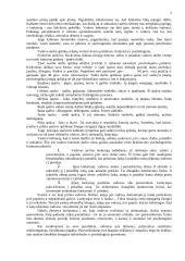 Darbdavio ir pavaldinio bendravimas 6 puslapis