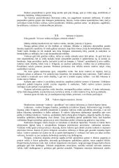 Darbdavio ir pavaldinio bendravimas 7 puslapis