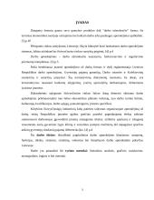 Darbo apmokėjimas ir jo pokyčiai Lietuvoje 3 puslapis